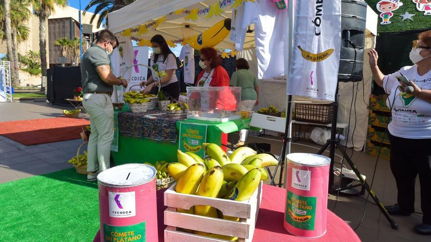 Plátanos para la esperanza de los afectados por el volcán de La Palma