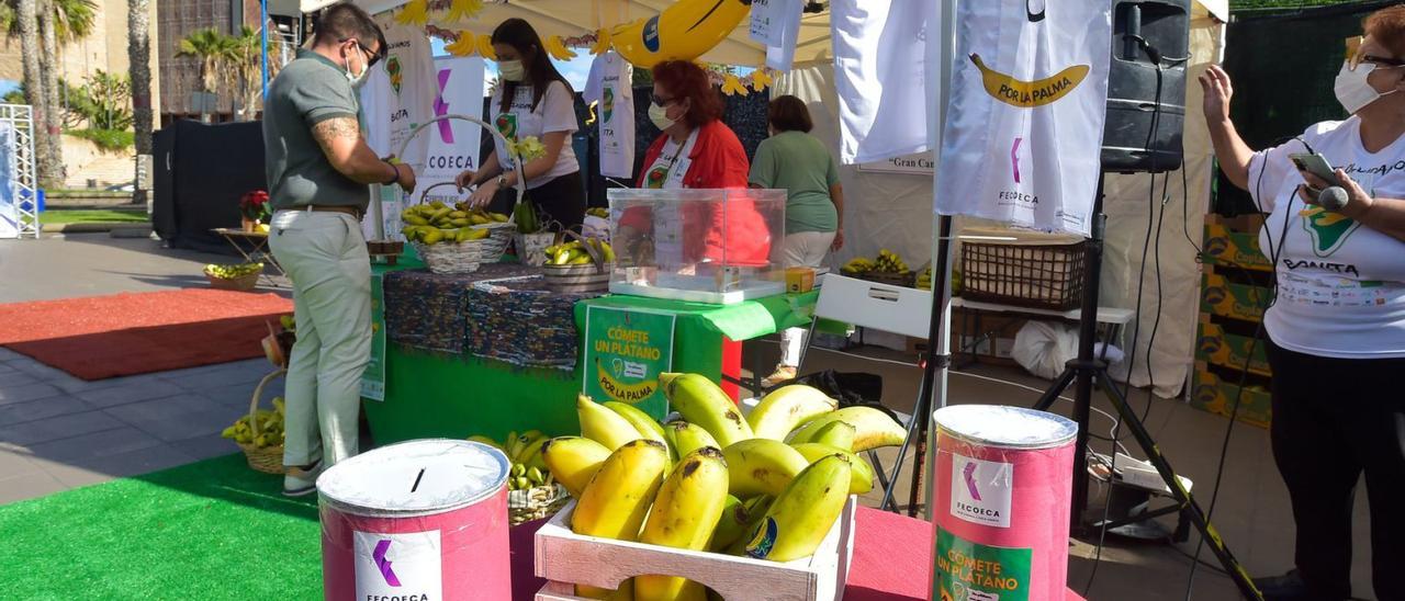 Carpa de la campaña &#039;Cómete un plátano por La Palma&#039; situada este sábado en el centro comercial Las Arenas