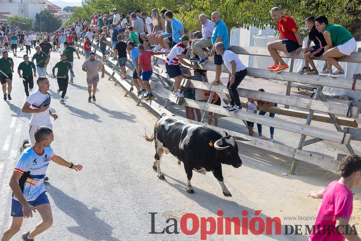 Sexto y último encierro de la Feria Taurina del Arroz en Calasparra