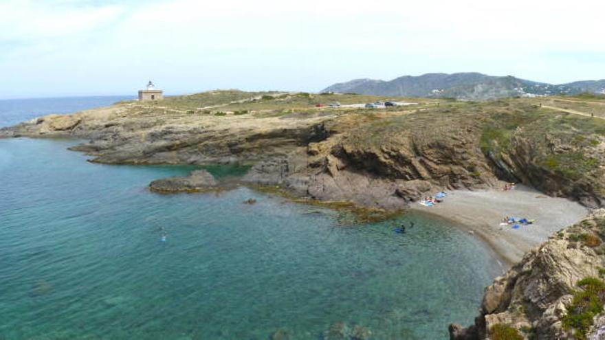 Preparen una travessia entre Llançà i El Port de la Seva de 2,5 i 5 km