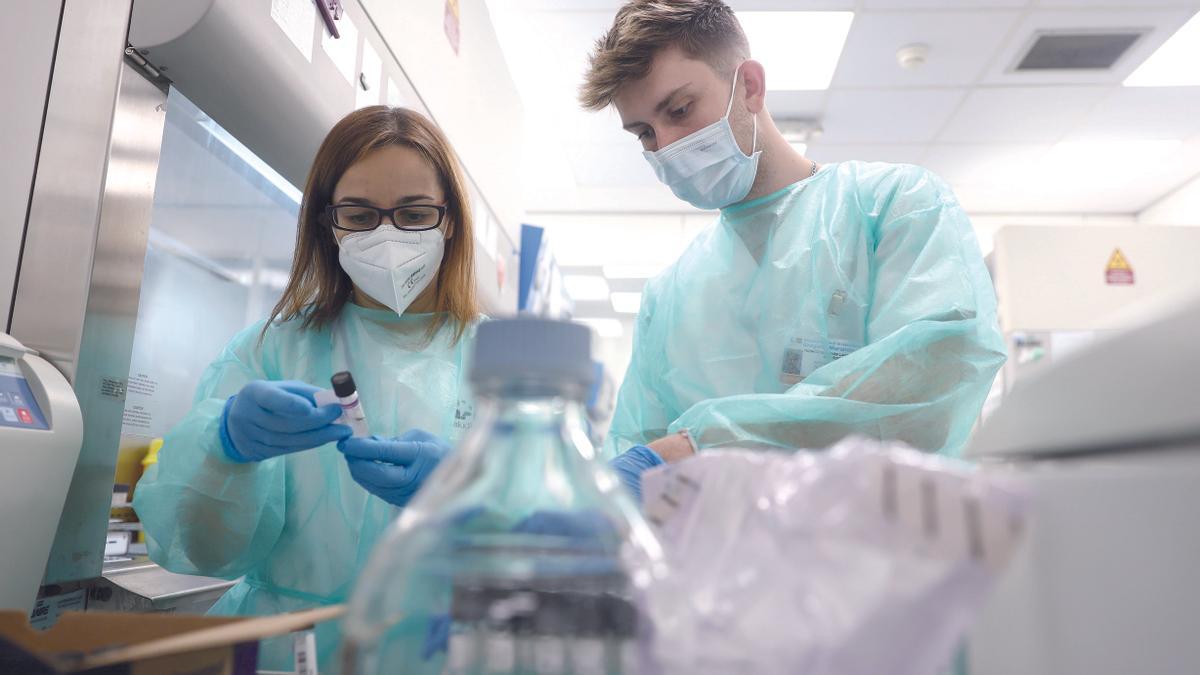Varios técnicos de laboratorio trabajan en el Laboratorio de Microbiología del Hospital público Gregorio Marañón, en mayo pasado.