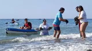 La nueva campaña ciudadana para retirar basura en espacios marinos ya tiene fecha