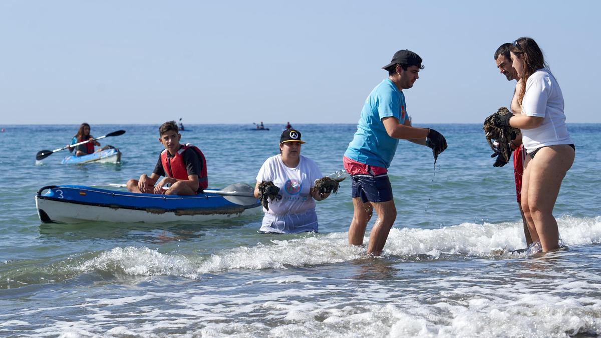 IX Gran Limpieza Internacional de Fondos Marinos y Playas dentro del proyecto Libera en la Playa Rincon de la Victoria, Málaga, en 2023.