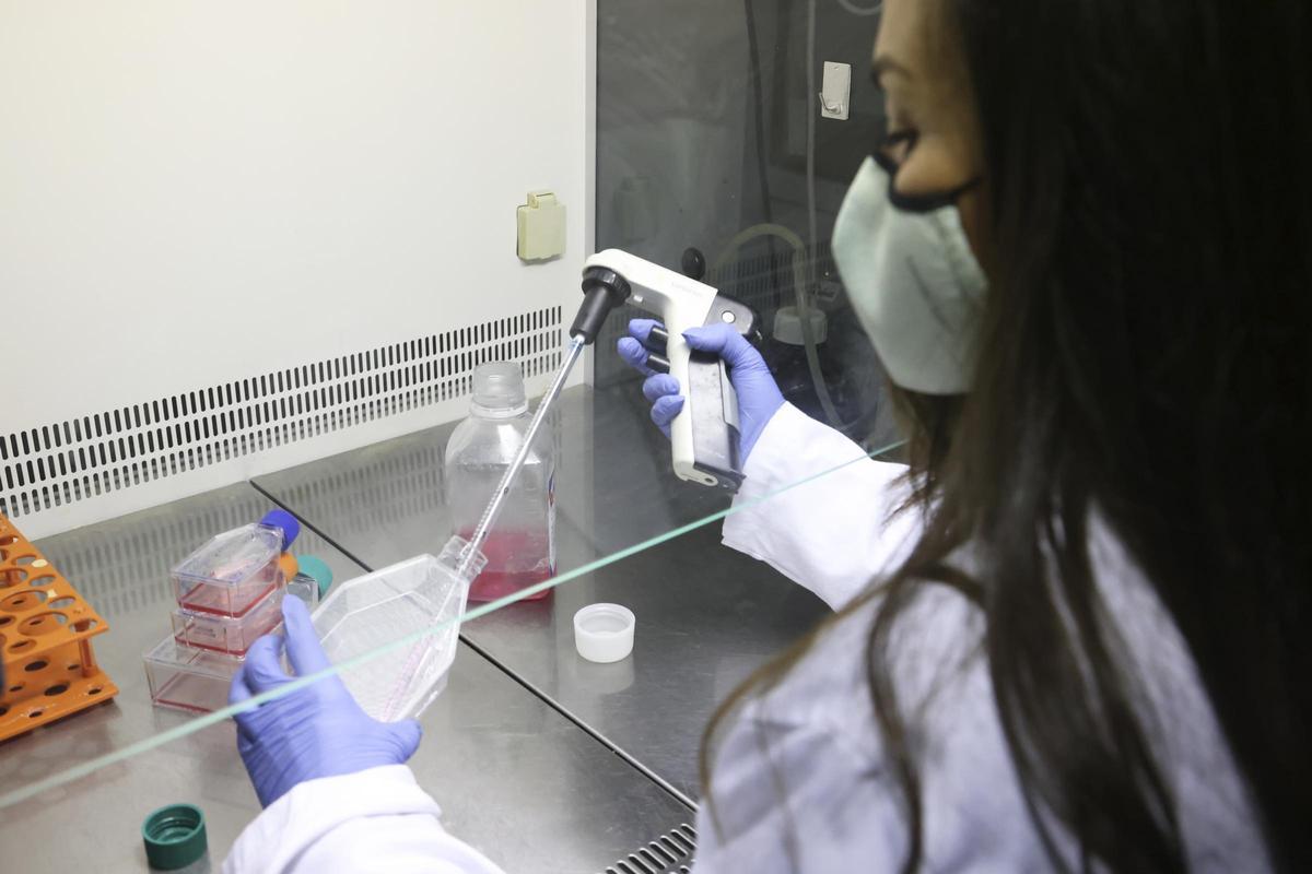 Otra imagen del personal investigador