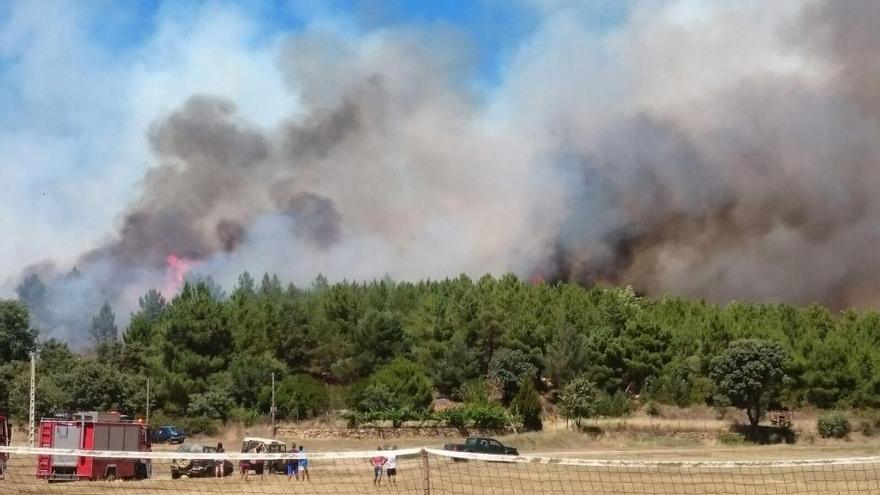 Declarado un incendio en Otero de Bodas