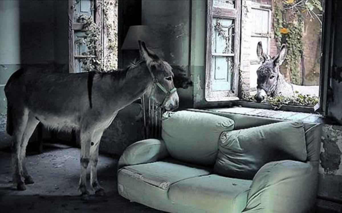 Una imatge de la ’ruc-movie’ espanyola ’Els bons homes van en burro’.