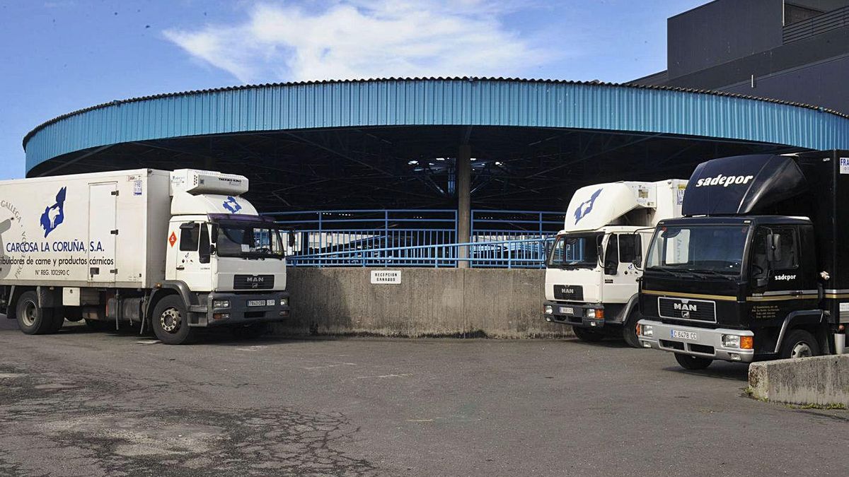Instalaciones del Matadero Municipal, gestionadas por Carnicosa.