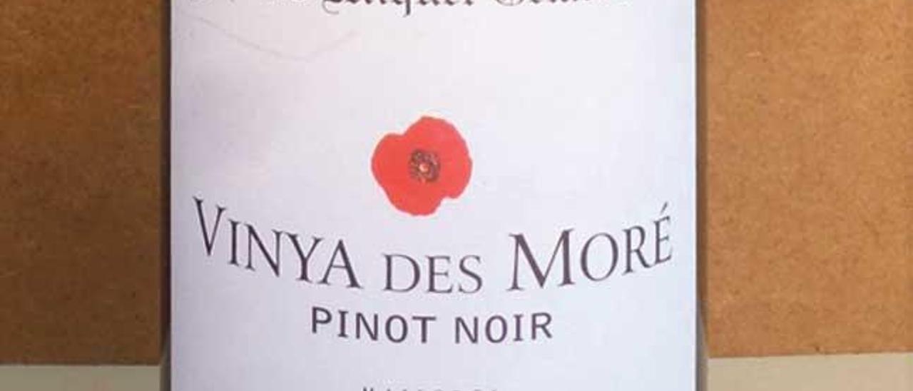 Vinya des Moré 2009: un Pinord Noir del Pla de Mallorca