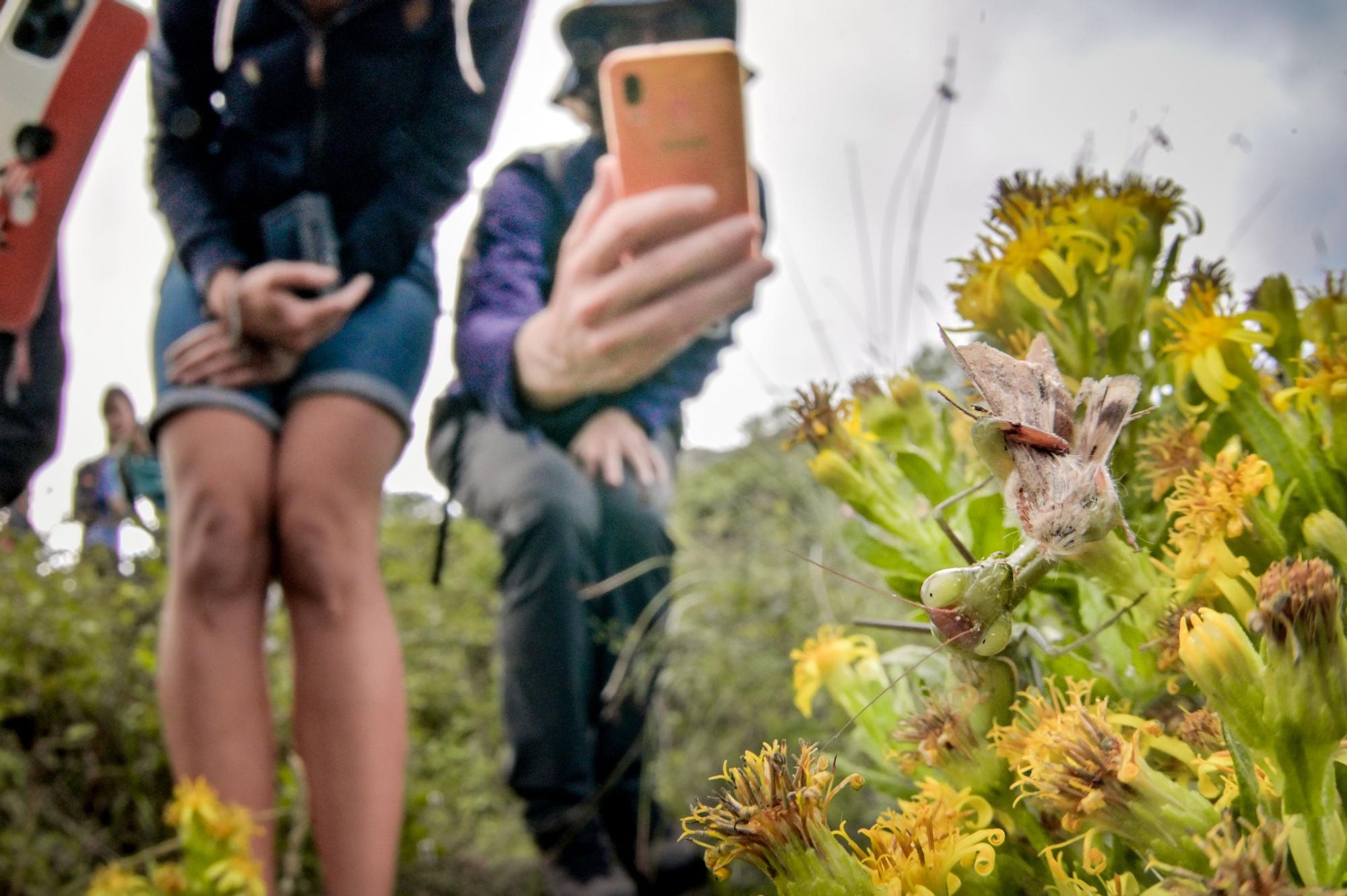 Primer Bioblitz al Parc Natural del Cap de Creus