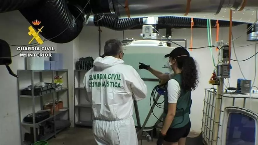 La Guardia Civil descubre un laboratorio de drogas en Dolores