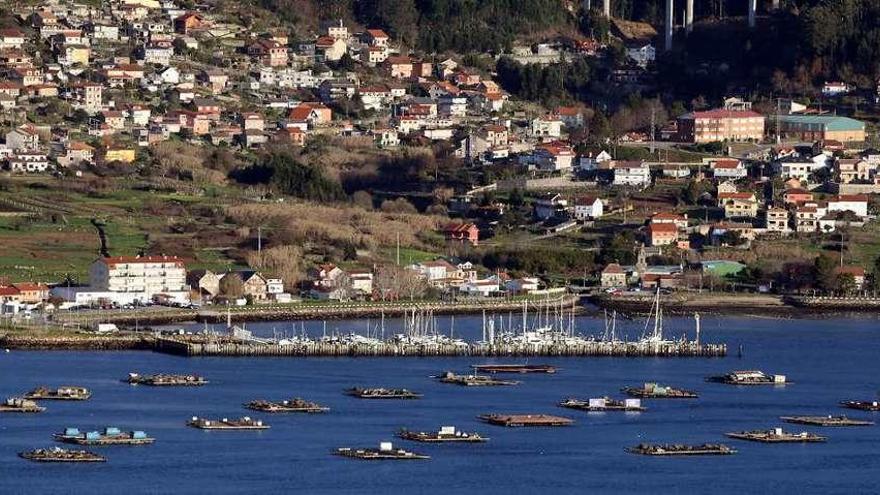 Un conjunto de bateas en la ría de Vigo, frente a Domaio. // Marta G. Brea