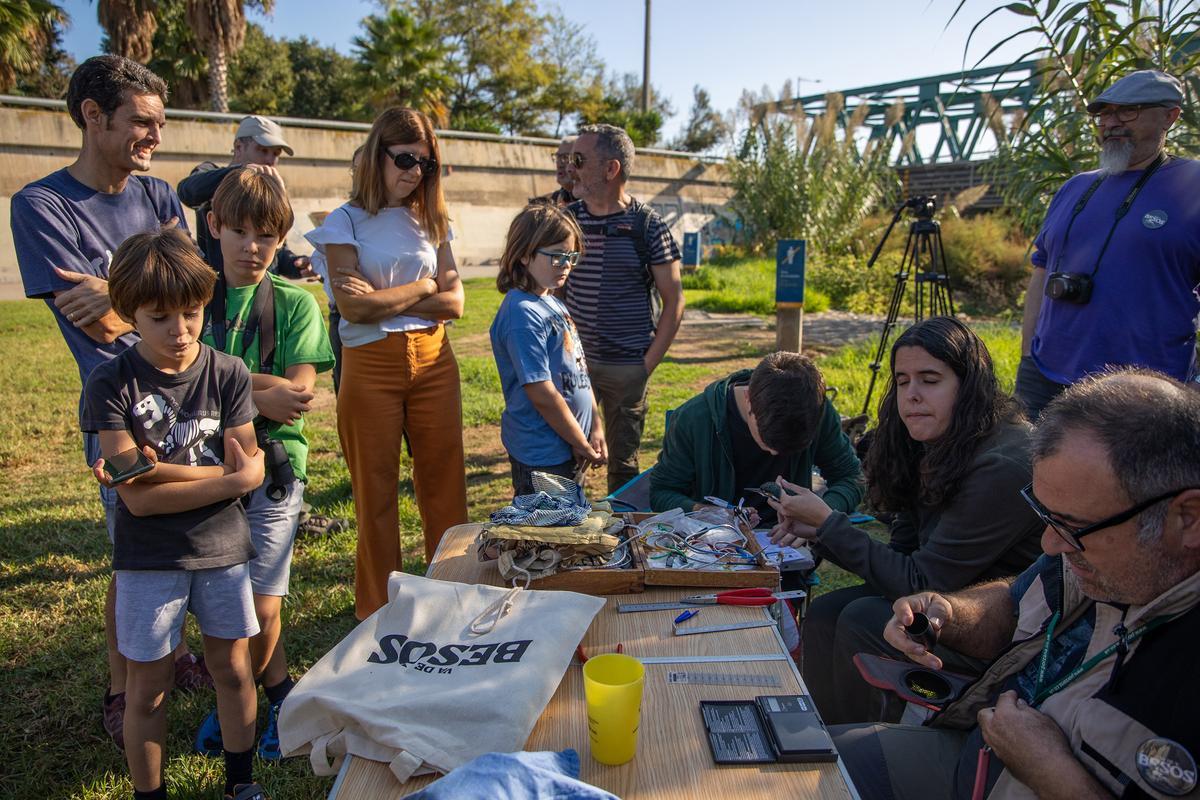 La fiesta de Va de Besòs, en el Parc del Litoral del Besòs