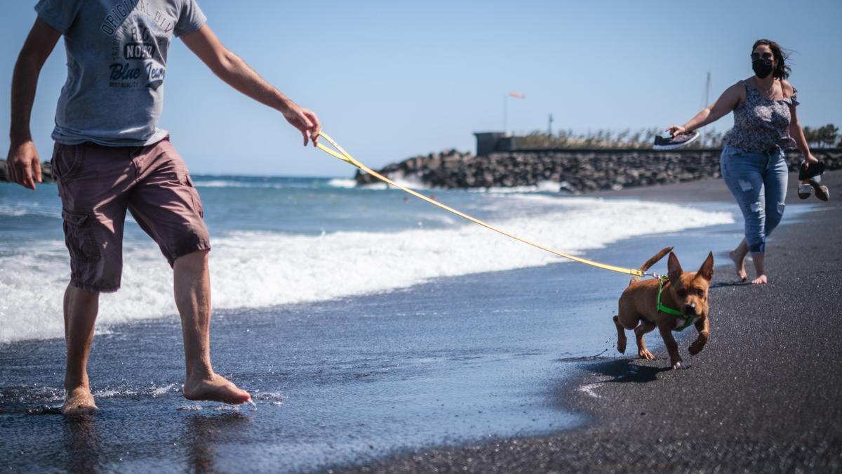 La playa del Puertito de Güímar, una de las afectadas por la presencia de hidrocarburos.