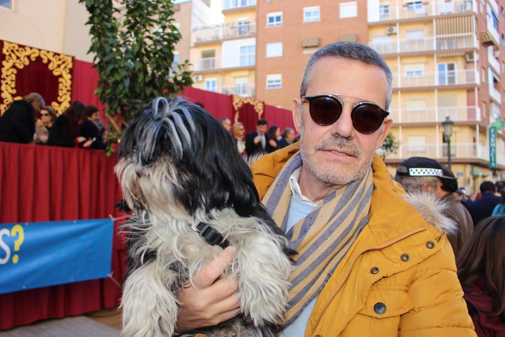 Bendición de animales por Sant Antoni del Porquet