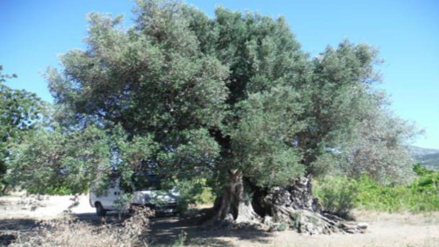 Buena ruta de senderismo por los alrededores de Xàbia