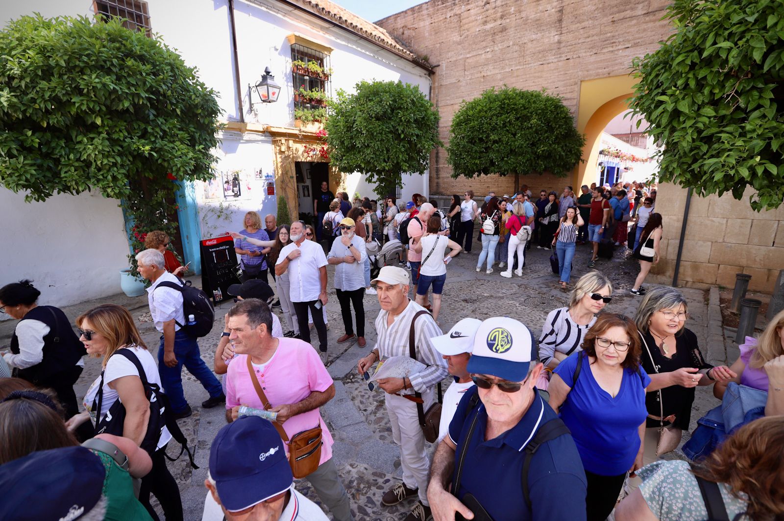 La ultima jornada de patios, en imágenes