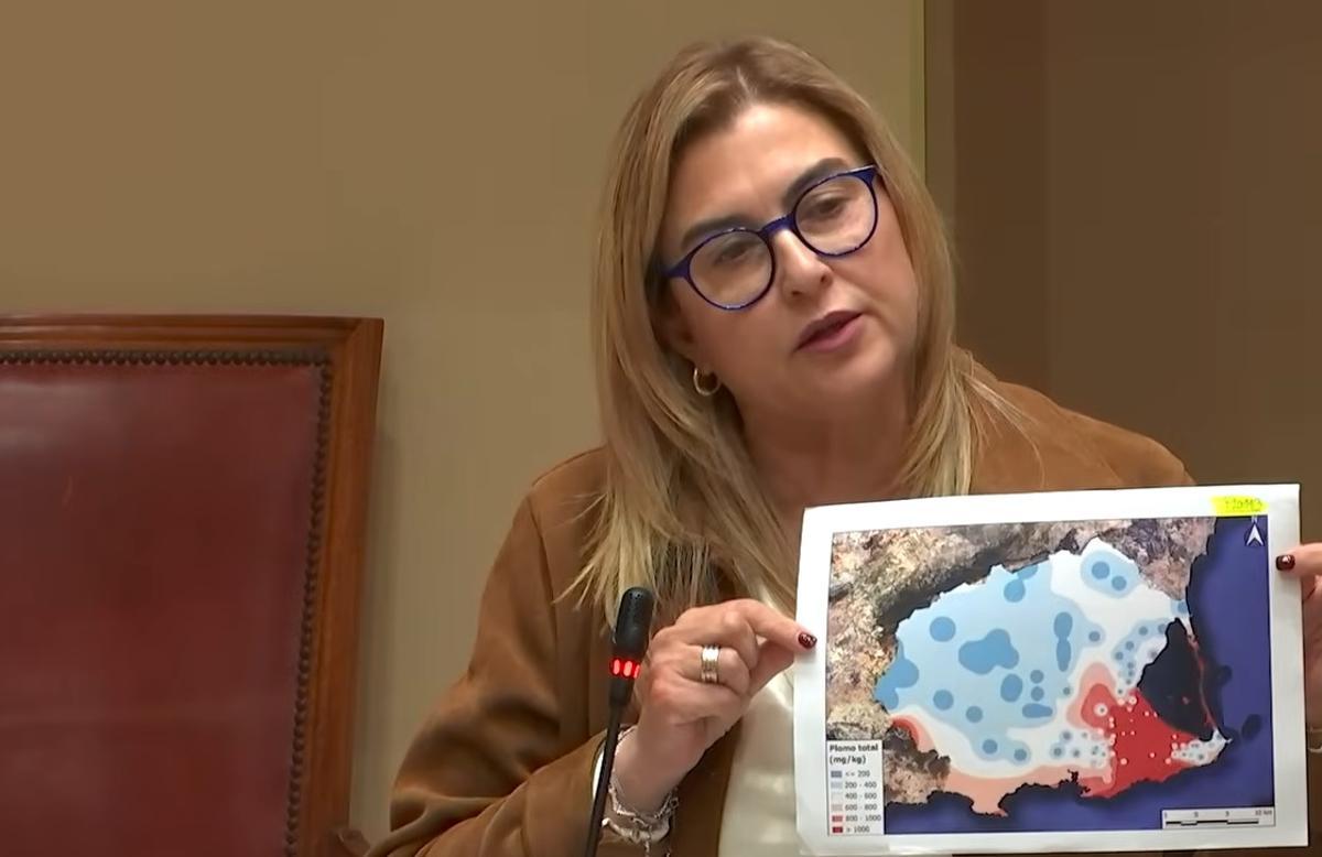 Carmina Fernández, portavoz del Grupo Parlamentario Socialista, este jueves en la sesión de control de la Asamblea Regional.