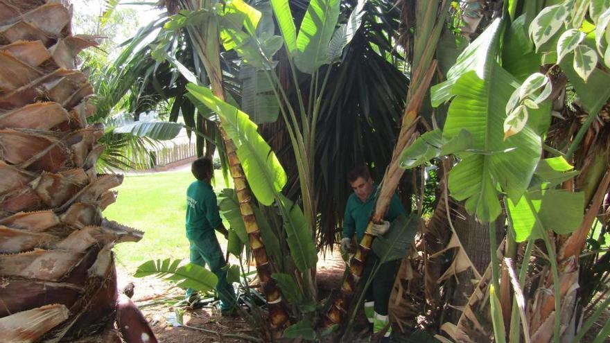 Operarios municipales hacen labores de mejora en el parque.