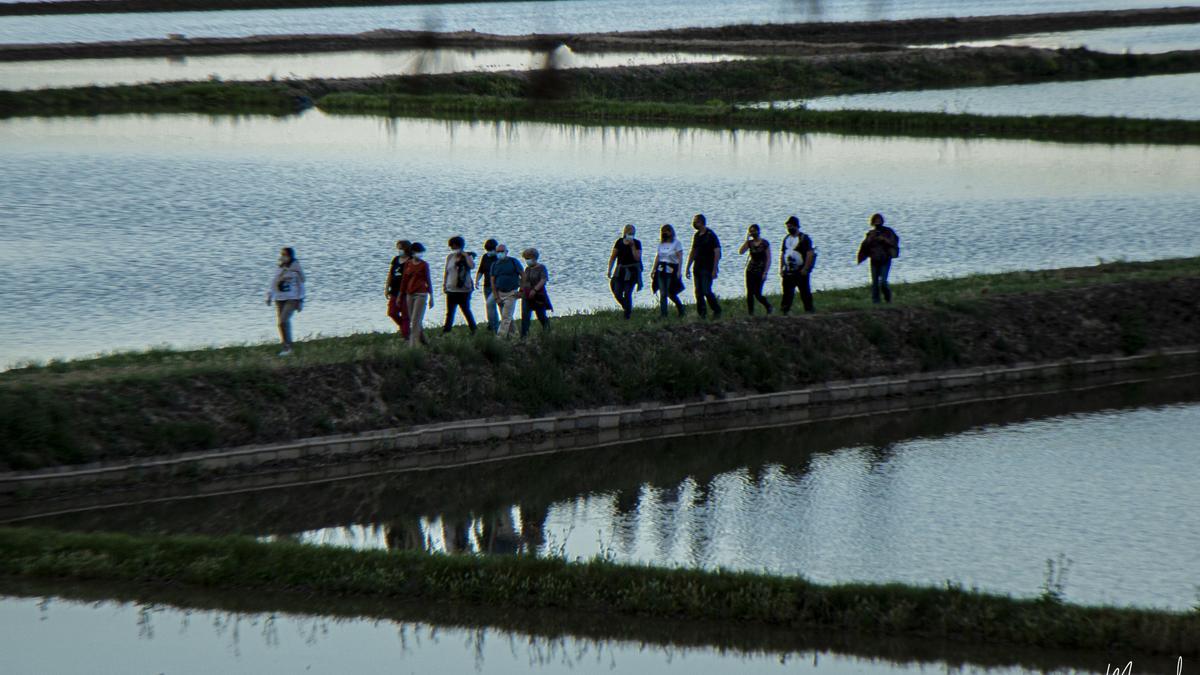 Los arrozales de Calasparra, donde nace un arroz único en el mundo.