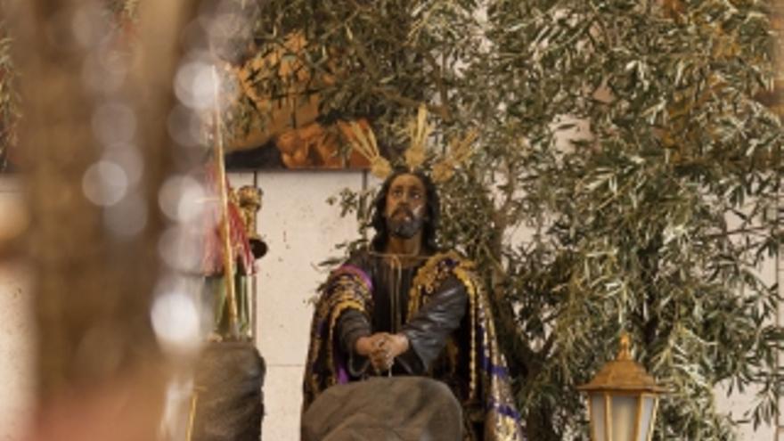 Domingo de Ramos, palmas y olivos para aclamar al Rey Jesús