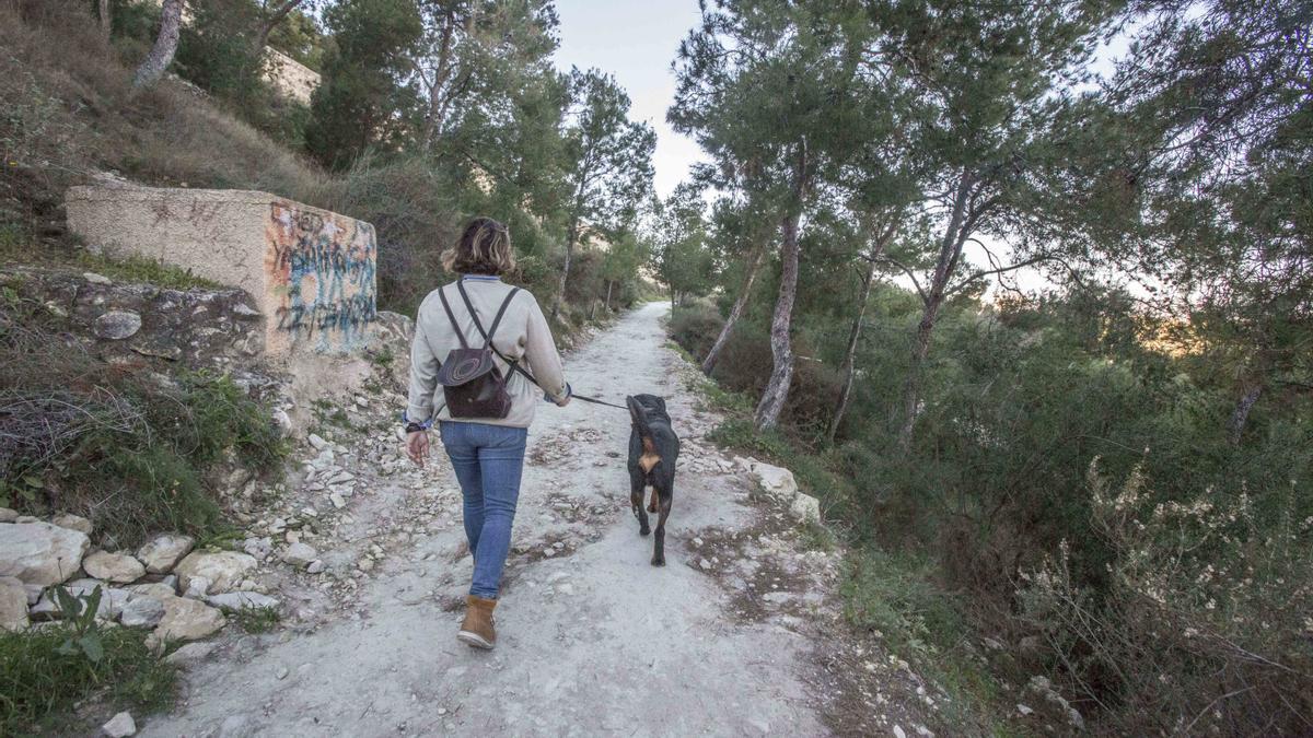 Las mejores rutas de senderismo de la provincia de Alicante