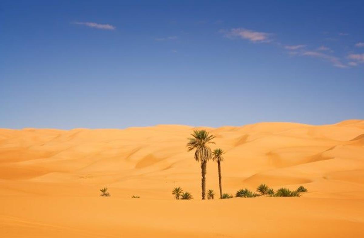 Desierto del Sáhara, África.