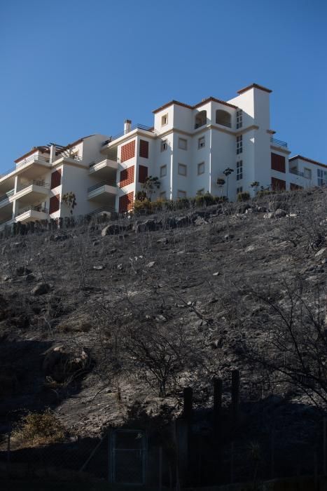 ESTABILIZADO EL INCENDIO DE MANILVA Y LOS ...