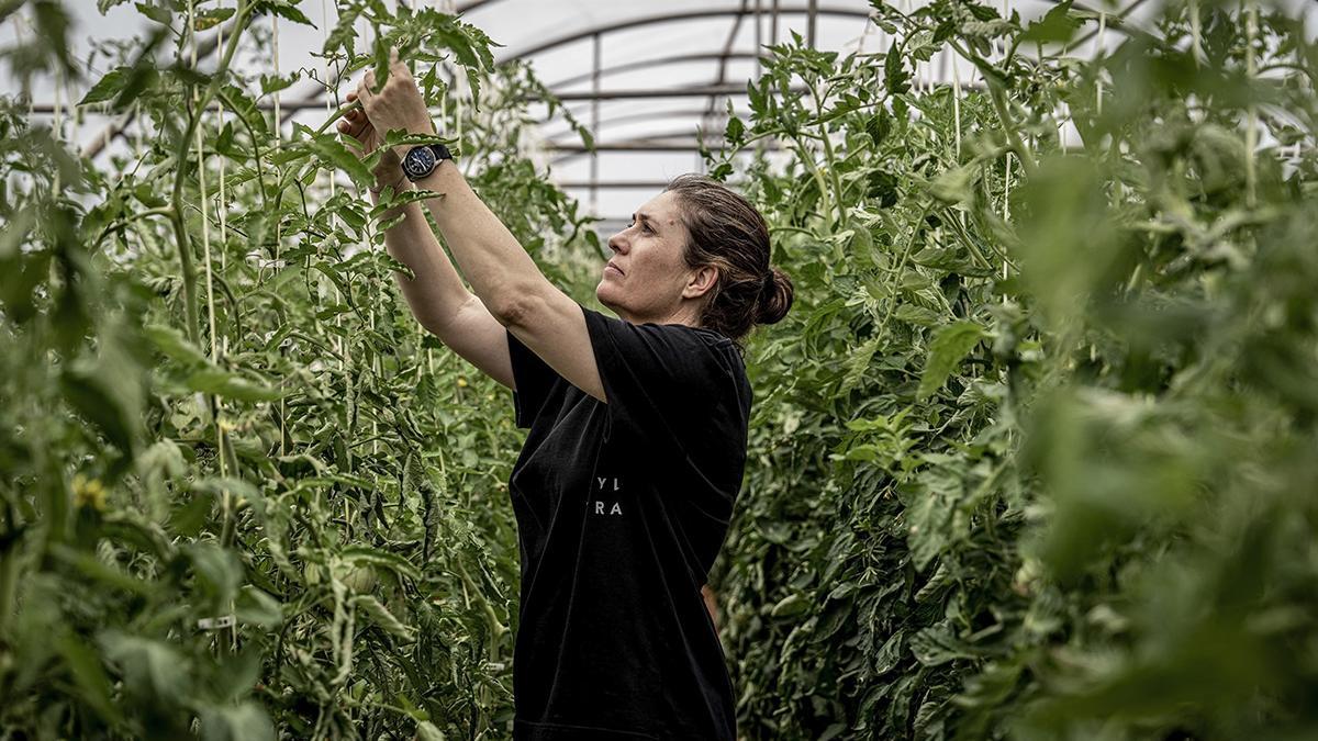 Diario de Mallorca y Grupo de Castro le ofrecen degustar un menú especial en el Bistró del Jardín de la mano de Maca de Castro.