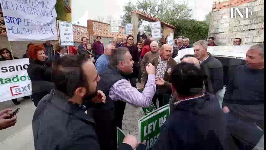 Protesta de los agricultores de Callosa contra los técnicos por la Xylella