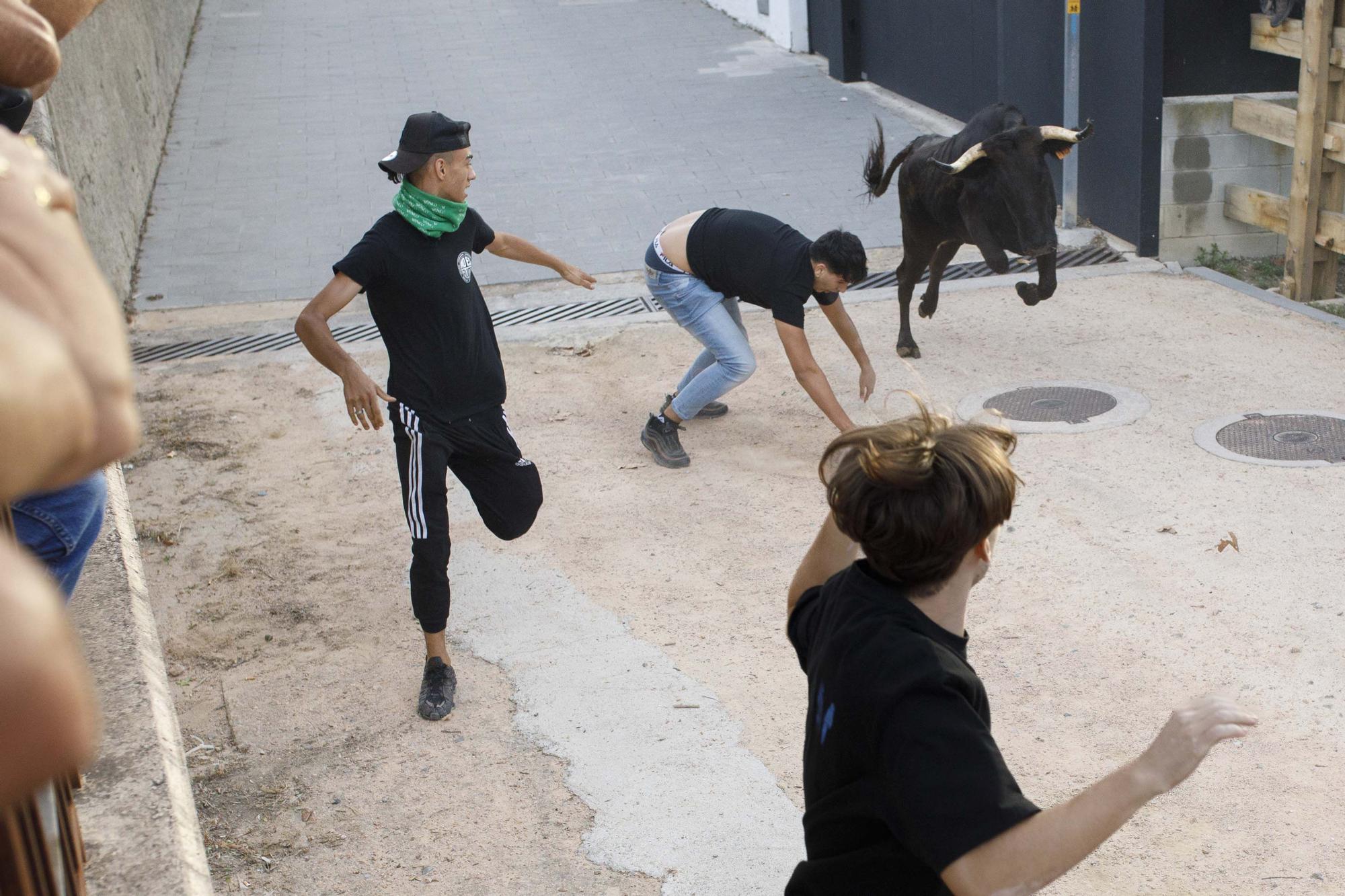 Les imatge del correbou de Vidreres