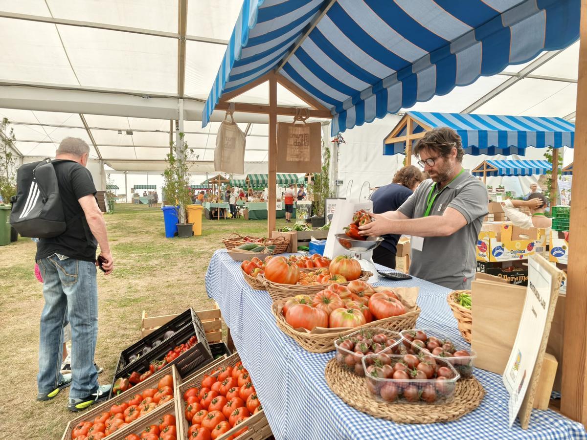 La inauguración de la gran feria ecológica de Llanera, en imágenes La inauguración de la gran feria ecológica de Llanera, en imágenes