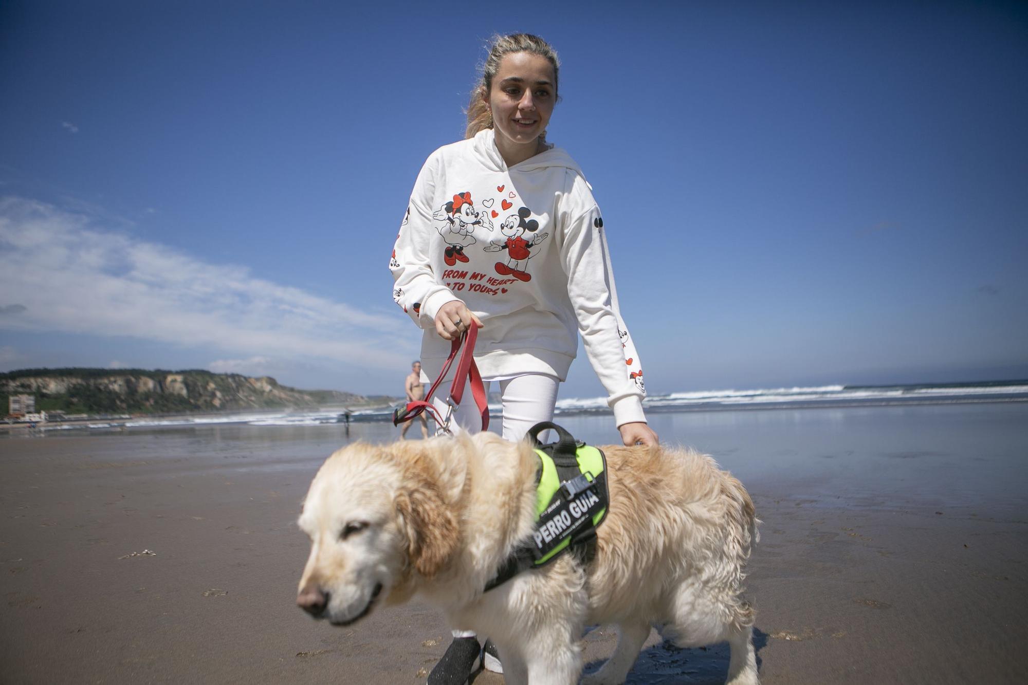 En imágenes: así fue el campeonato de surf para perros en Salinas