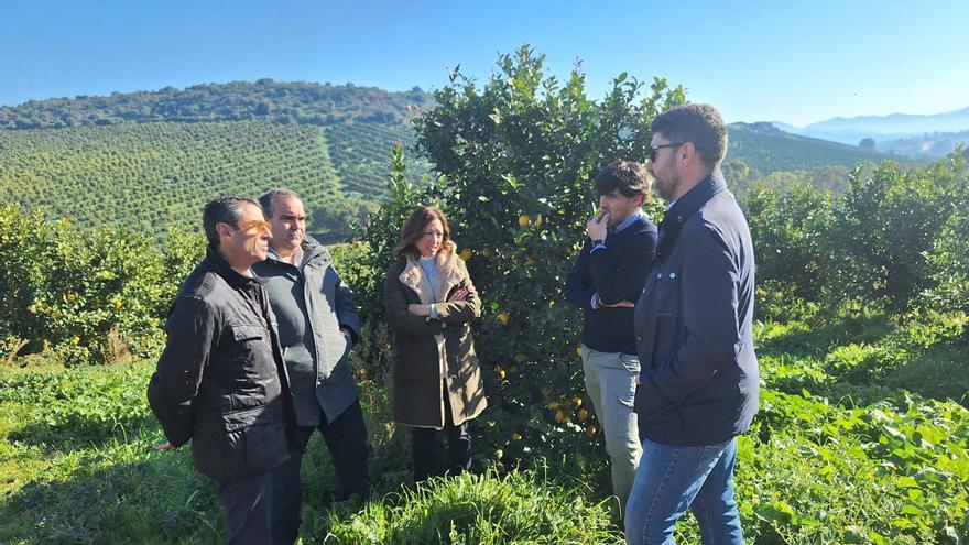 Navarro dice que la Junta defenderá &quot;con uñas y dientes&quot; el sector agrario frente acuerdos como el de Mercosur