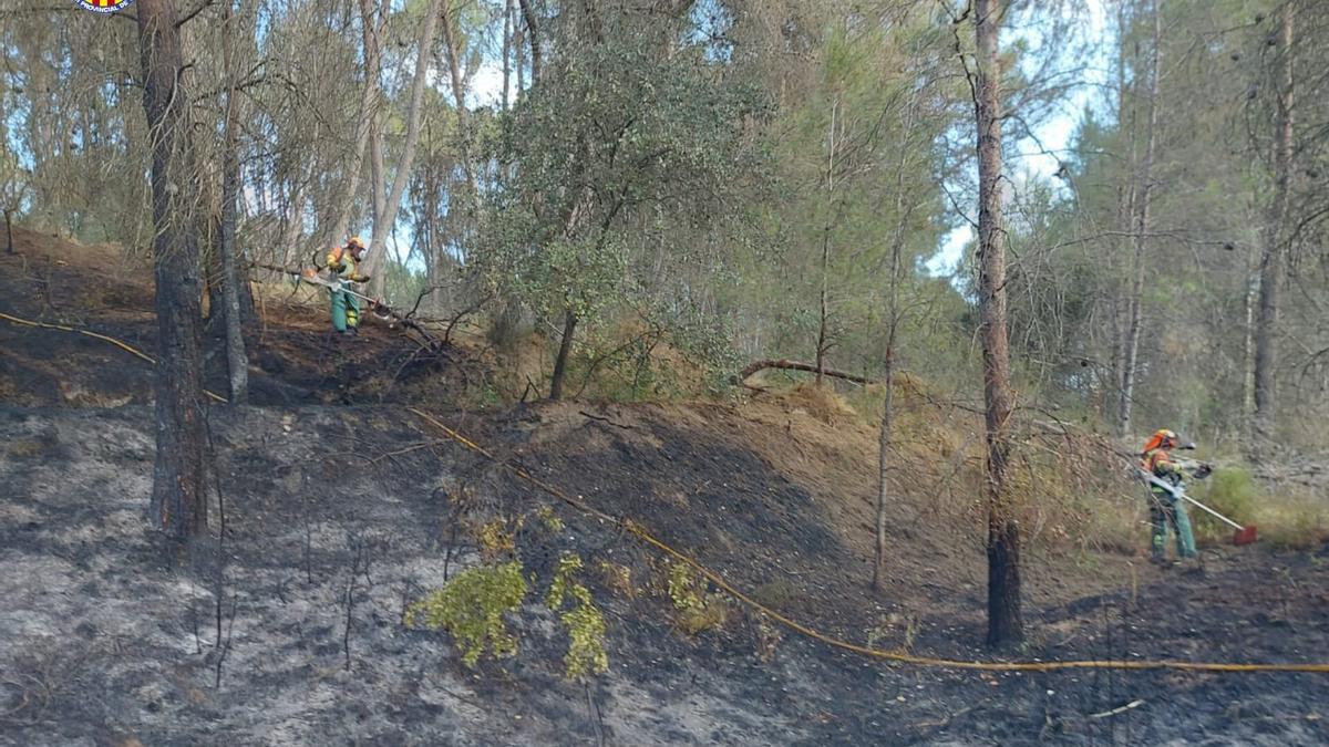 Bombers forestals treballen al barranc de la Xara, de nou arrasat per les flames