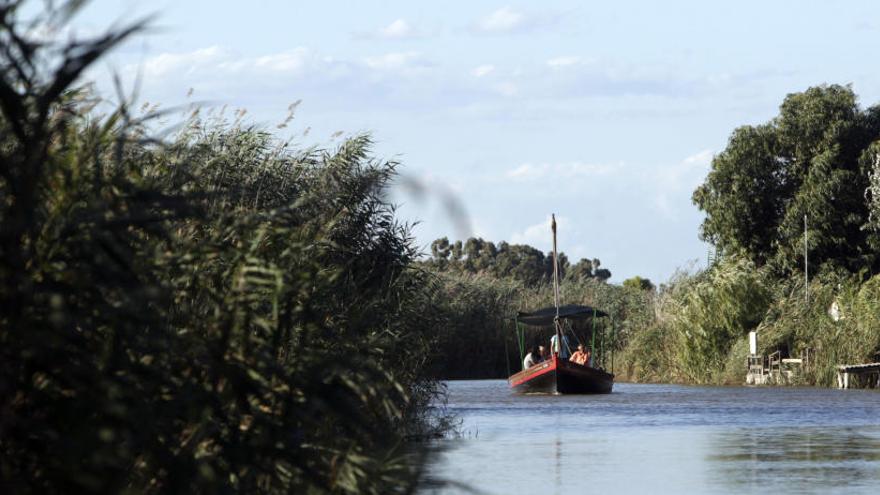 Vista de parte del lago de l&#039;Albufera.