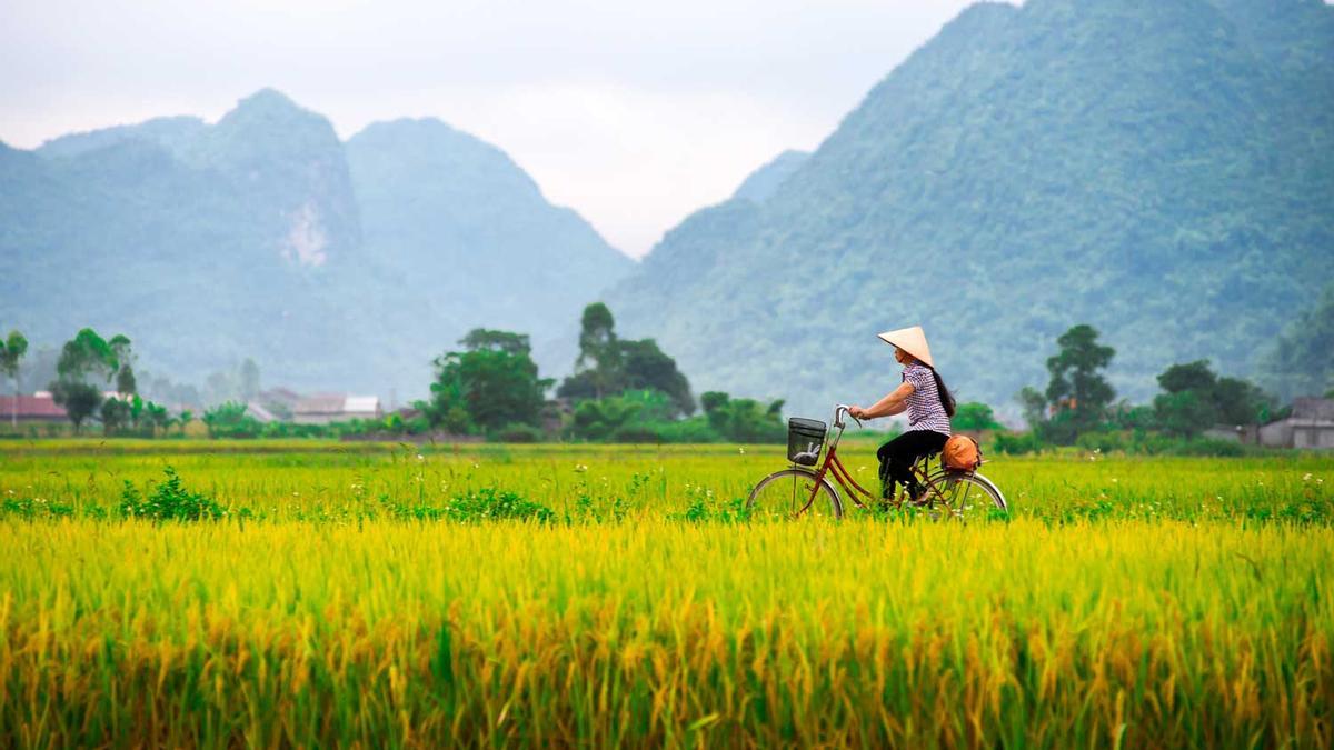 Vietnamese woman and her ride in a valley