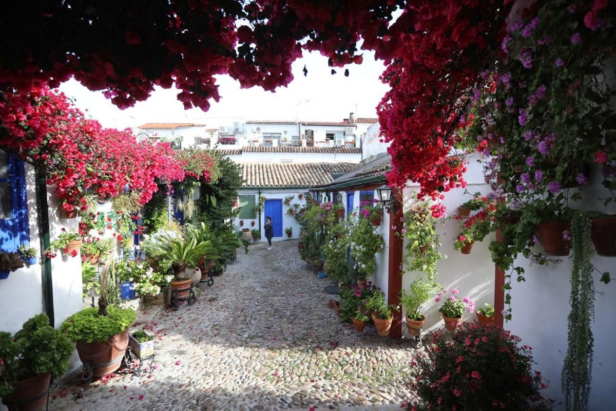 Los Patios de Córdoba. Santa Marina