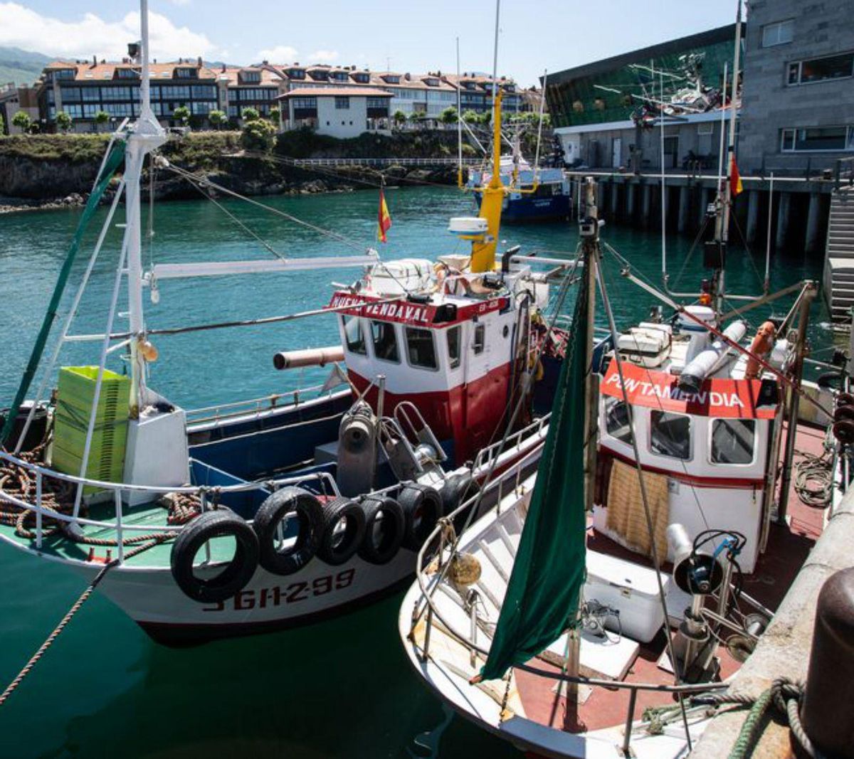 Por una pesca sostenible y responsable