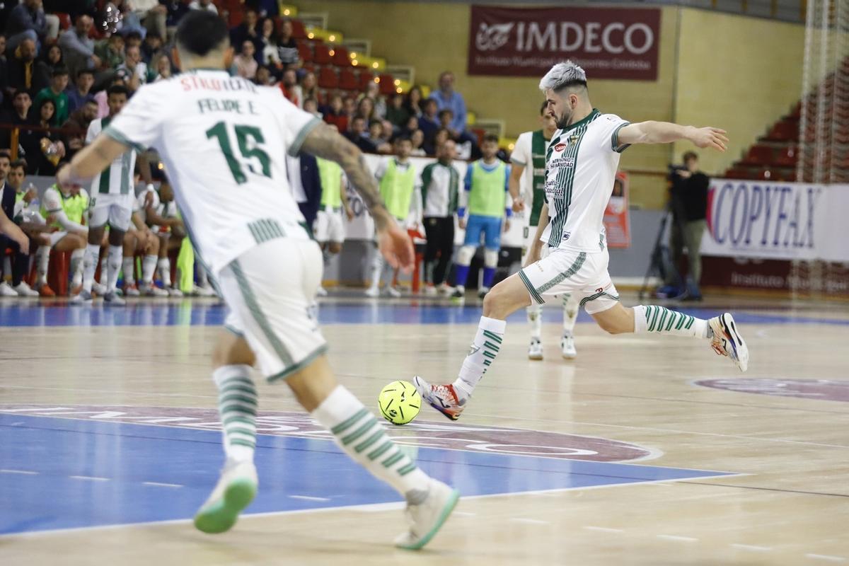 Córdoba Futsal-ElPozo Murcia | Las imágenes del partido en el Palacio Vista Alegre Córdoba Futsal-ElPozo Murcia | Las imágenes del partido en el Palacio Vista Alegre