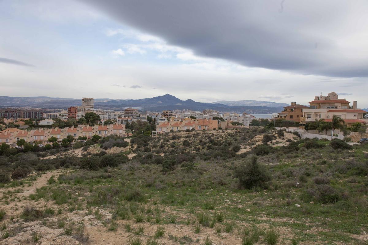 El Cabo de las Huertas, en Alicante, una de las zonas donde más está ocurriendo