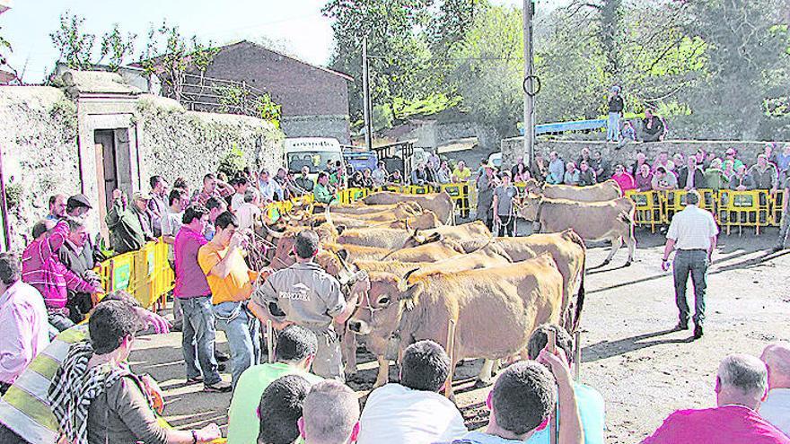 Las casinas se lucen en Porrúa