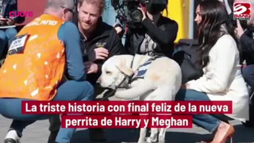 El príncipe Harry, Meghan Markle y su perra adoptada: el nombre más original EVER