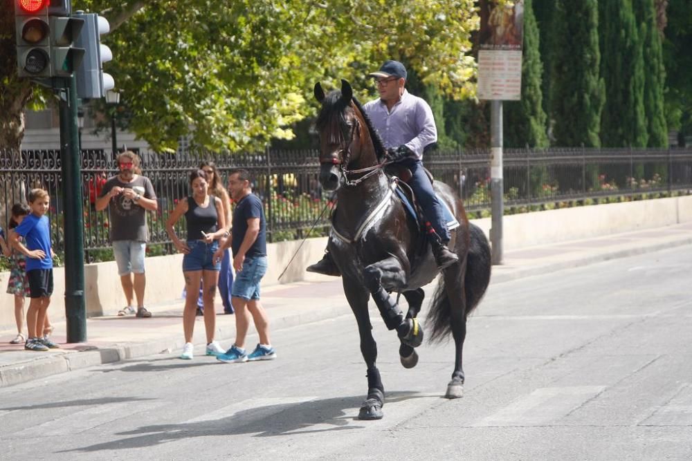 Día del caballo en la Feria de Murcia 2018