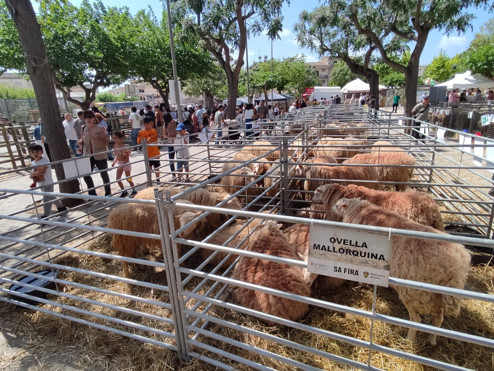 La Fira de Sineu, en imágenes