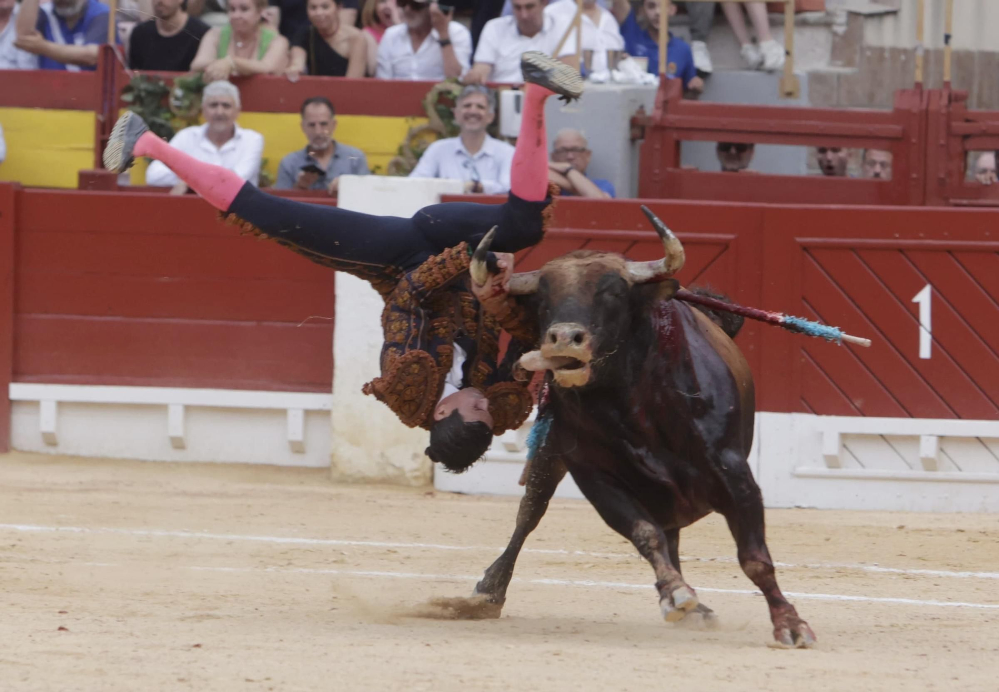 Susto en el cuarto toro de Manzanares en la Feria de Hogueras 2025