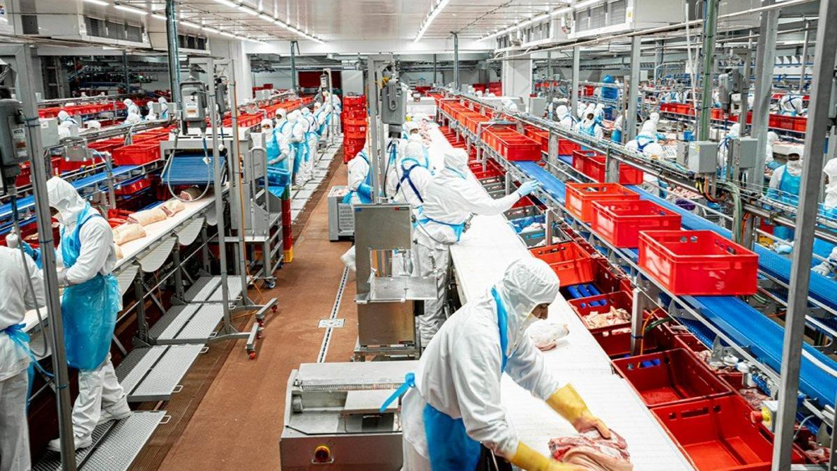 Una de las plantas cárnicas del Grupo Costa en la provincia de Barcelona.