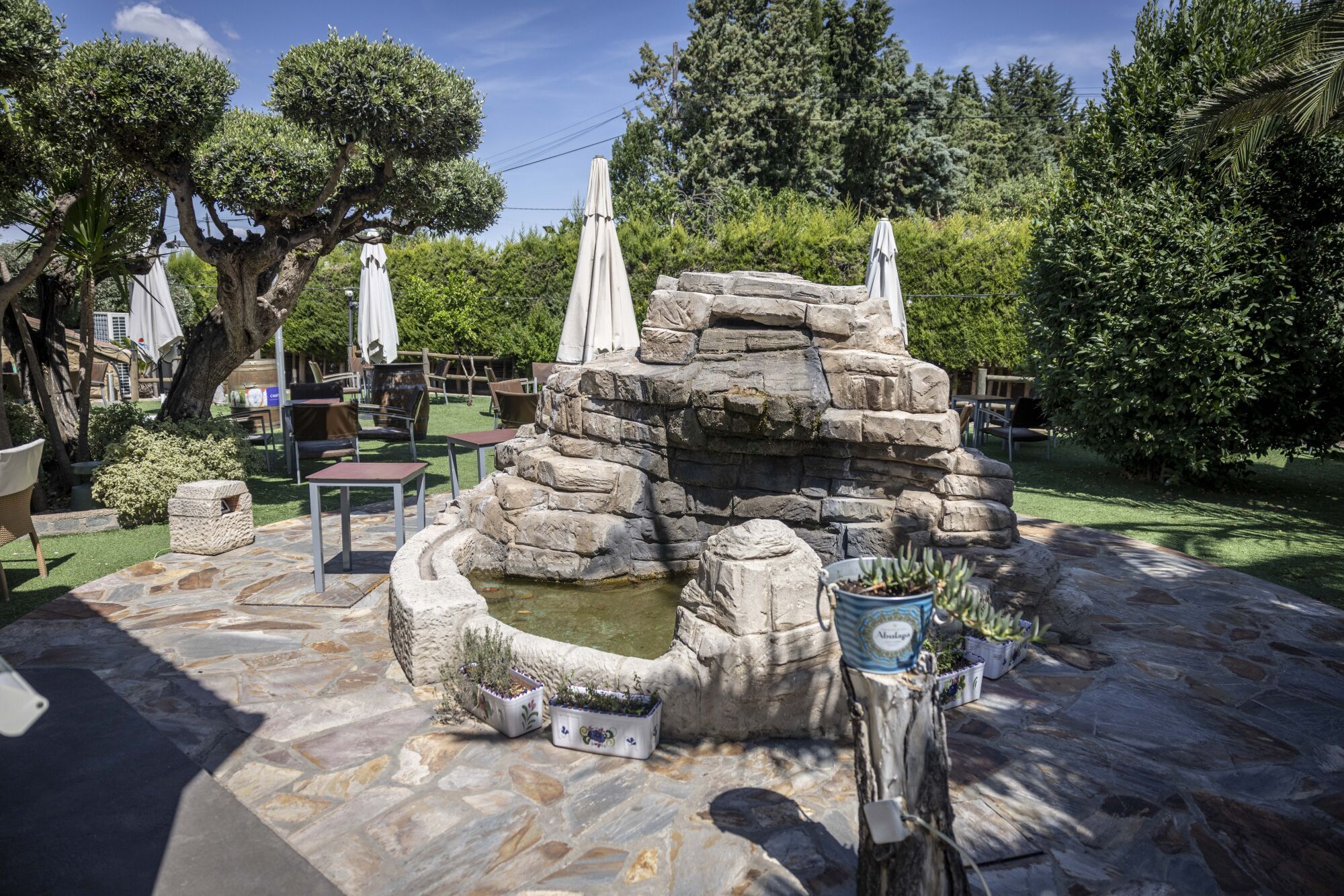 REPORTAJE RESTAURANTE LA JUNQUERA