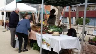 La fira Territori Silvestre de les plantes obliades arriba a la Seu d'Urgell