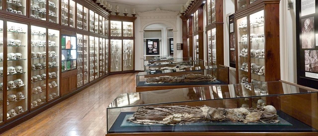 Vitrinas de los fondos arqueológicos del Museo Canario