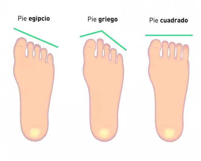 ¿Eres de pie egipcio o griego? Dime cómo es y te diré cómo eres